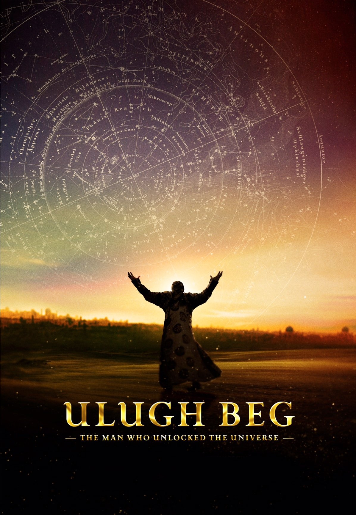 Постер The Man Who Unlocked the Universe